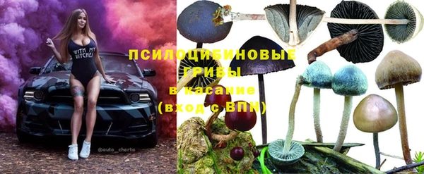 МДПВ Алексин