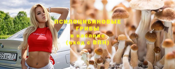 скорость mdpv Алексеевка