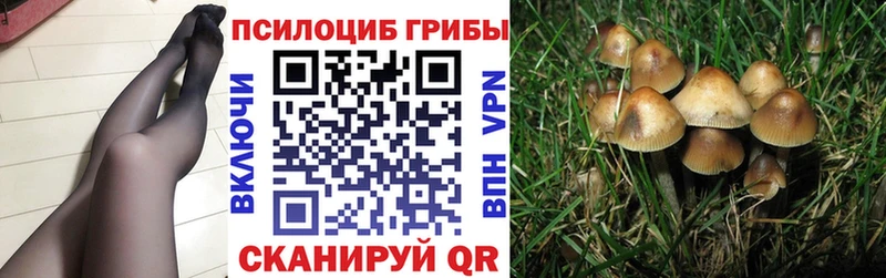 Галлюциногенные грибы мухоморы  Заозёрный 